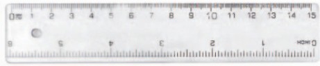 1738808037359318.jpg
